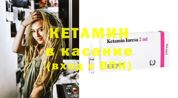 крисы Абаза