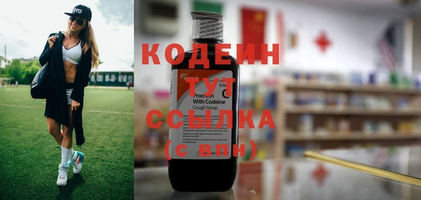 крисы Абаза