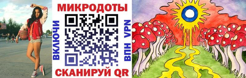 наркота Чита Псилоцибиновые грибы Psilocybine cubensis